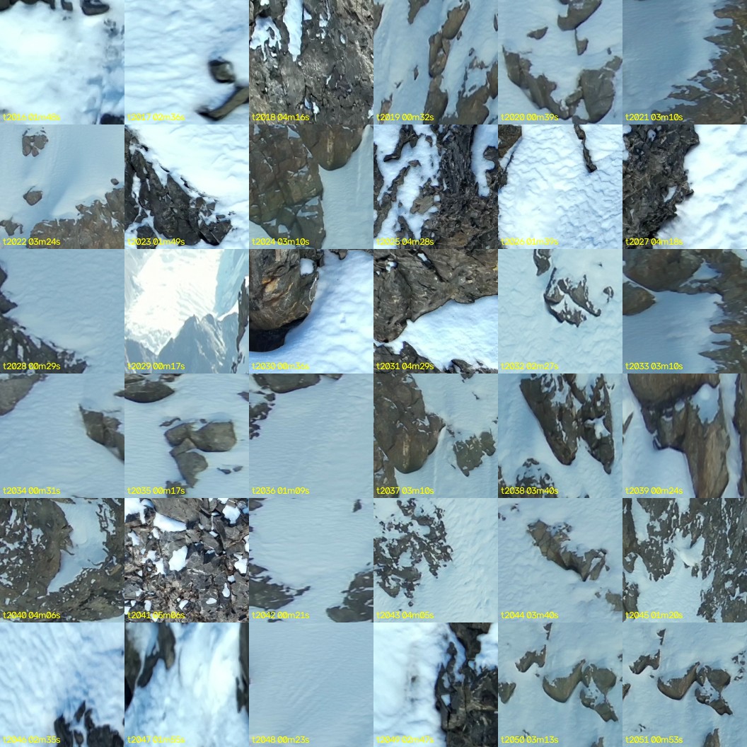 montage_56.jpg