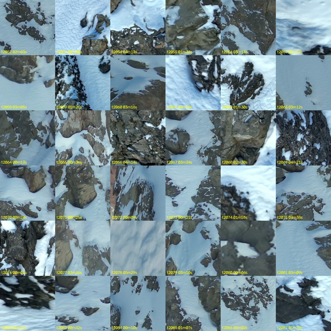 montage_57.jpg
