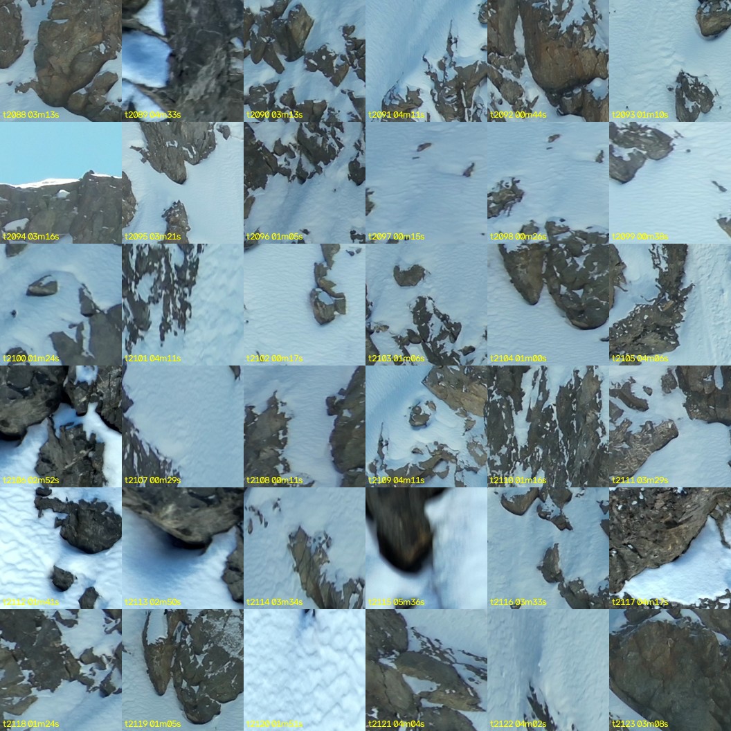 montage_58.jpg