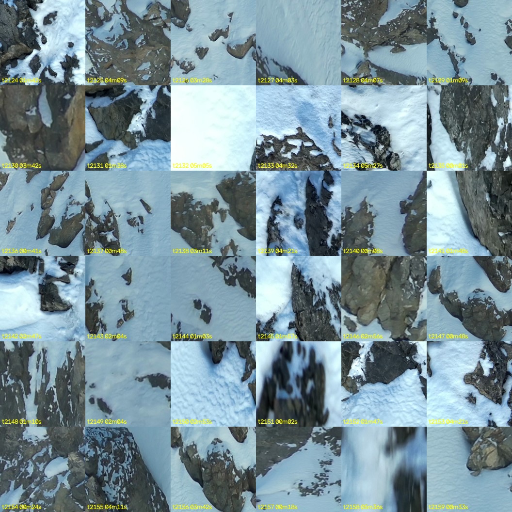 montage_59.jpg