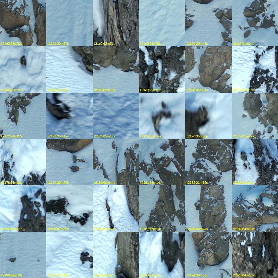 montage_60.jpg