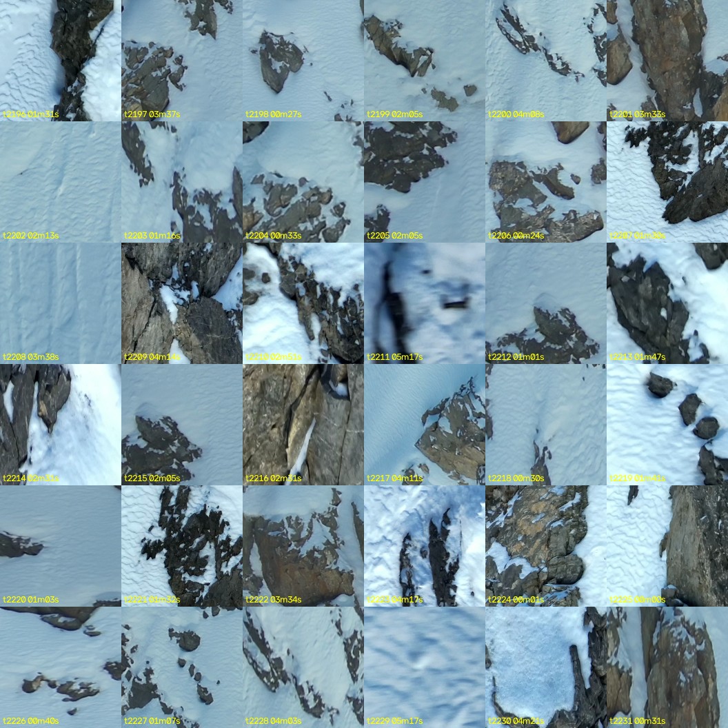 montage_61.jpg