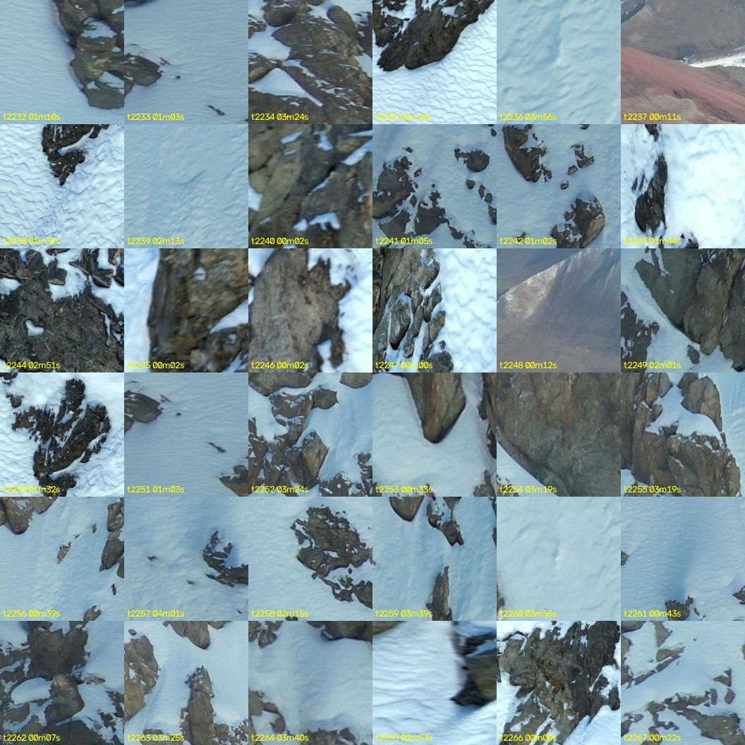 montage_62.jpg