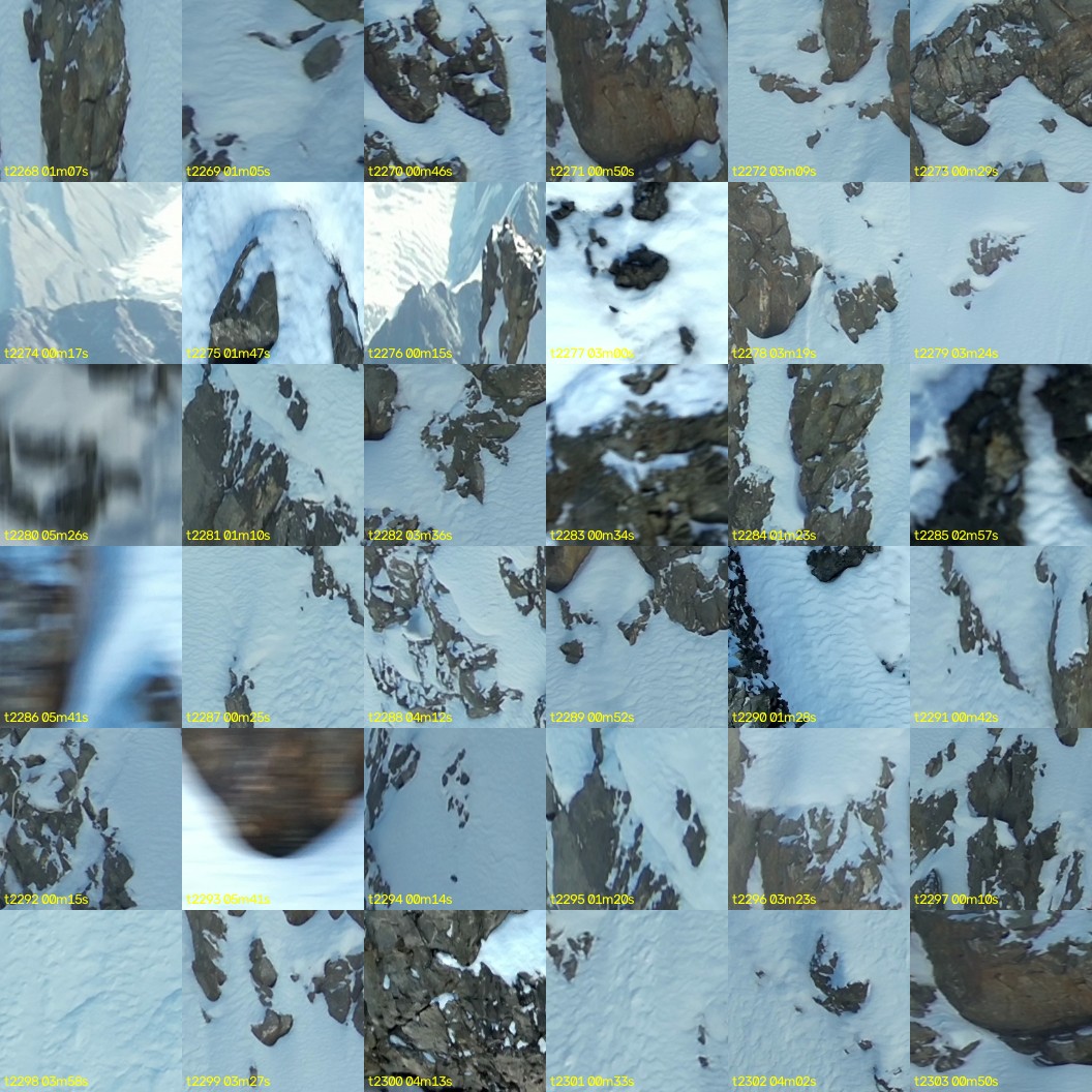 montage_63.jpg