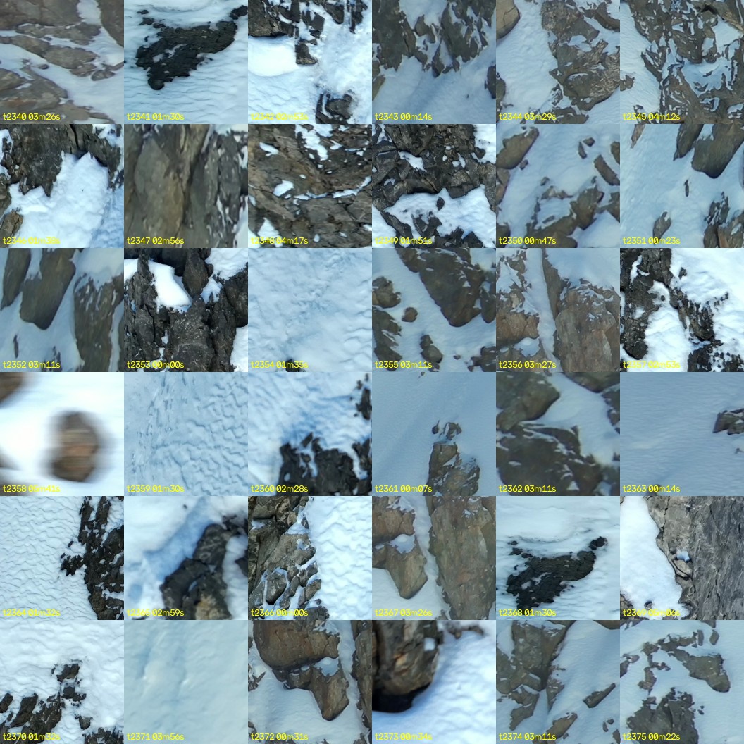 montage_65.jpg