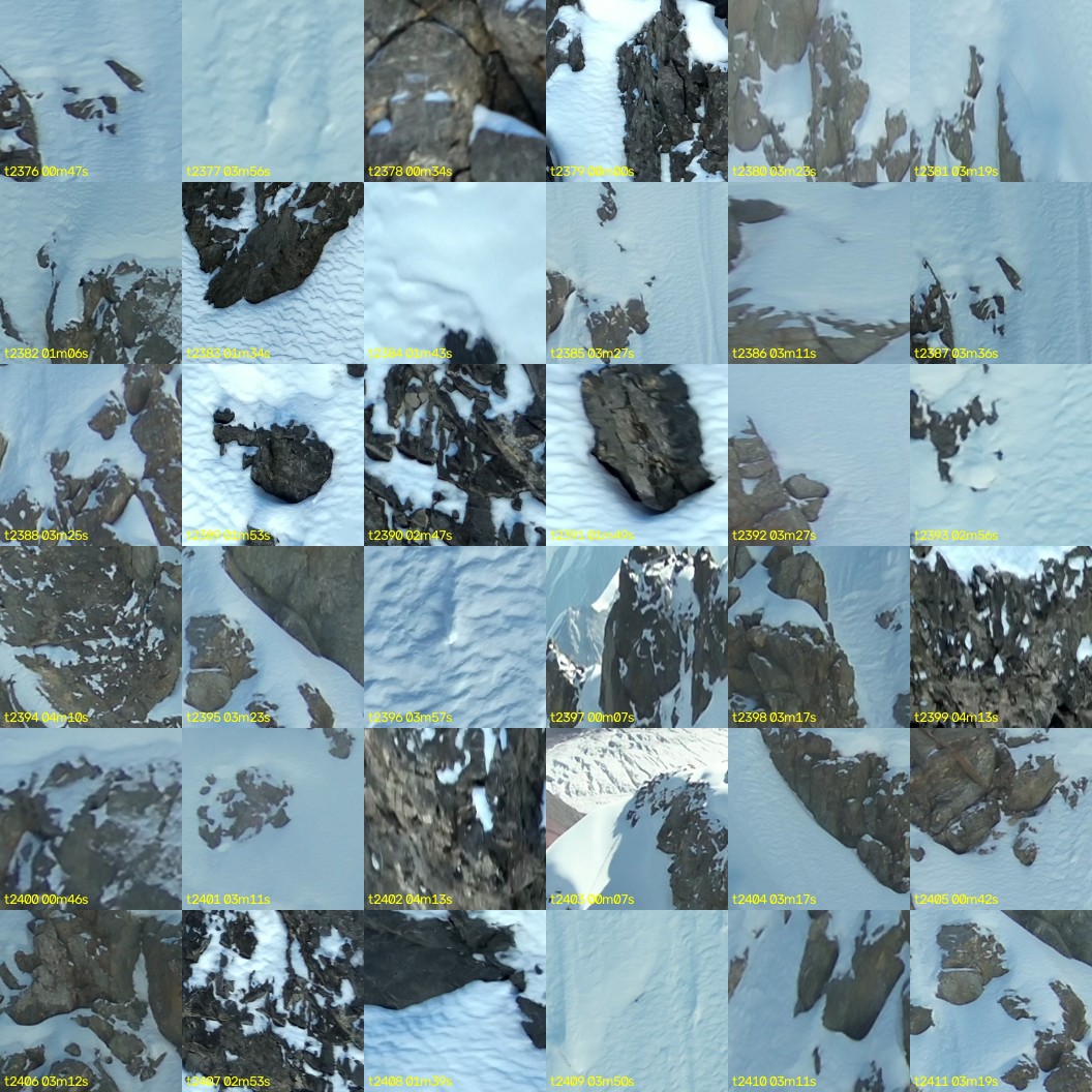 montage_66.jpg