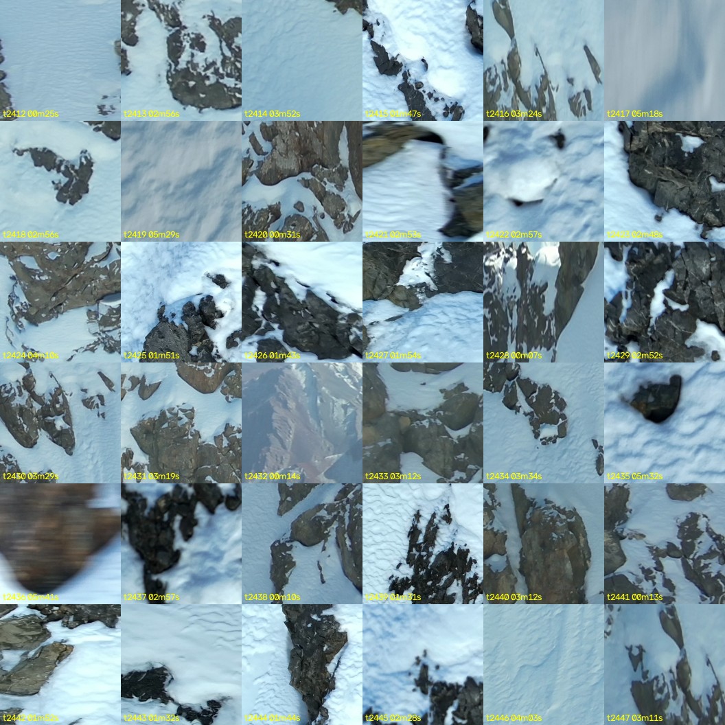 montage_67.jpg