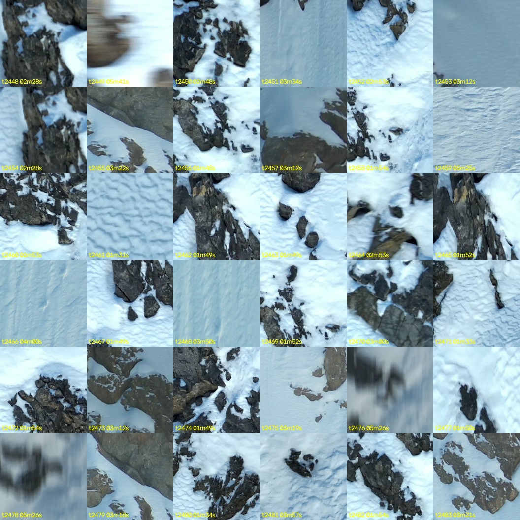montage_68.jpg