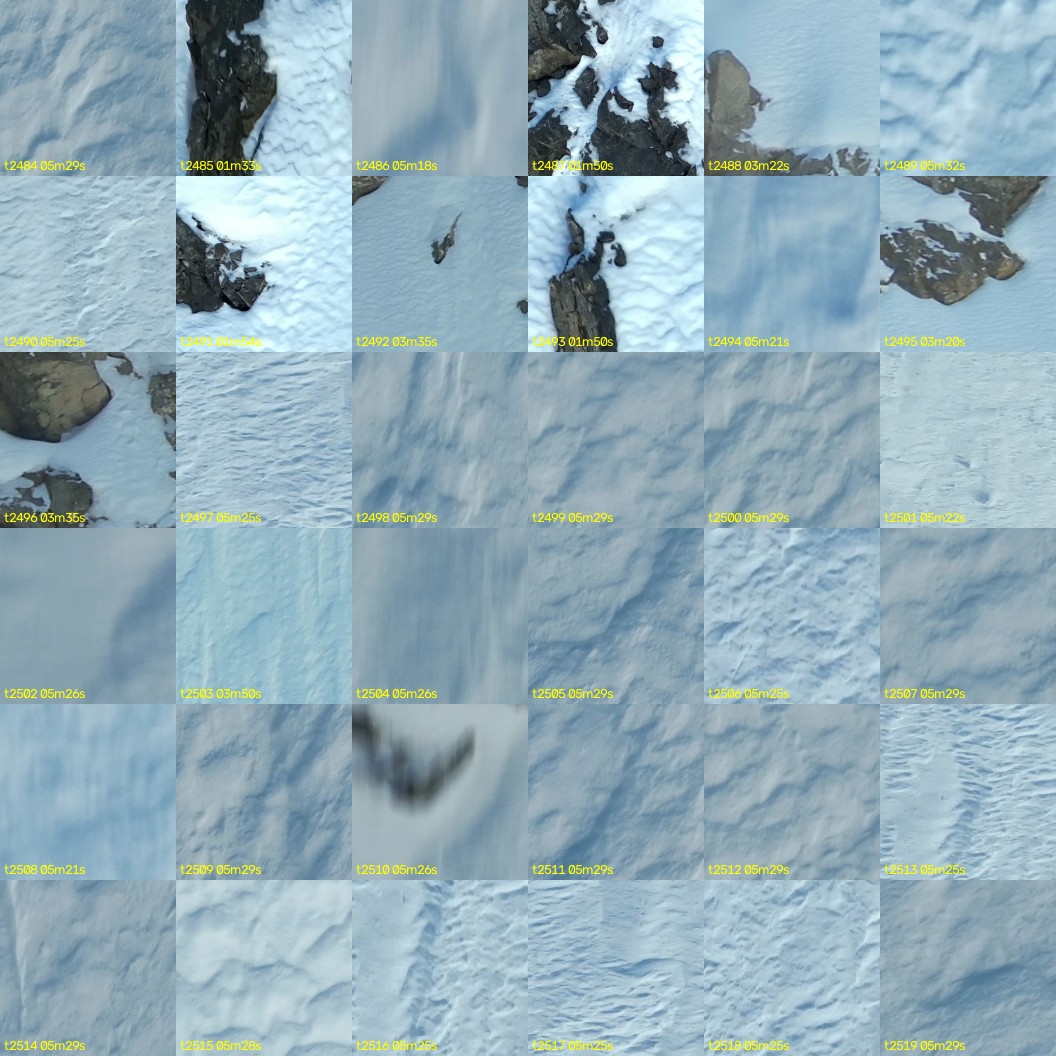 montage_69.jpg