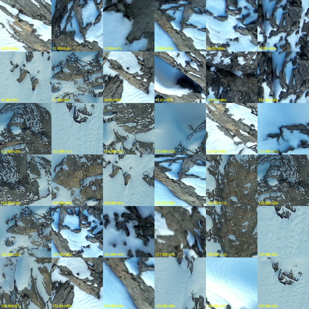 montage_00.jpg