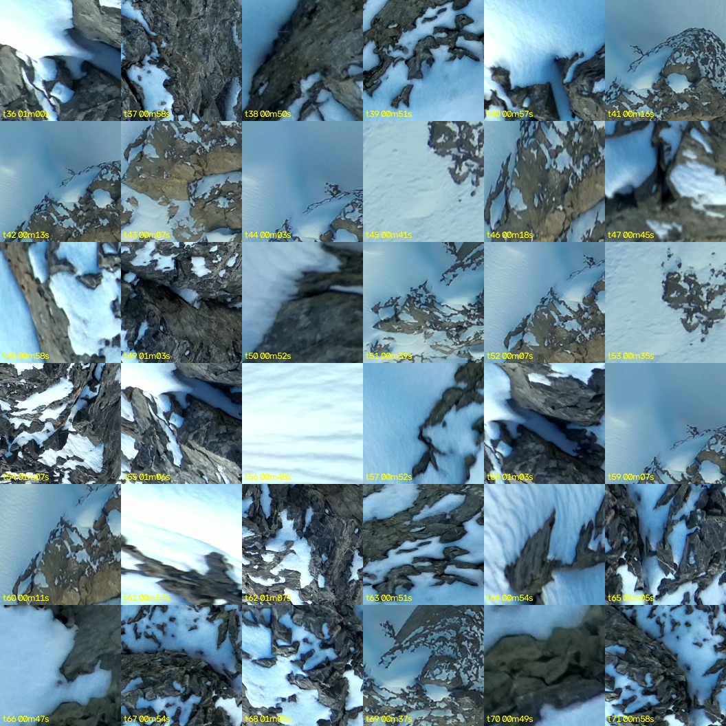 montage_01.jpg