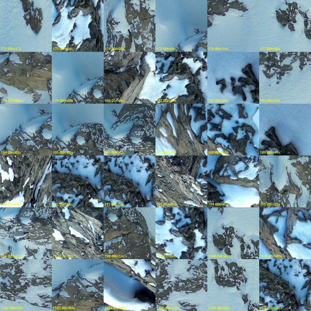 montage_02.jpg