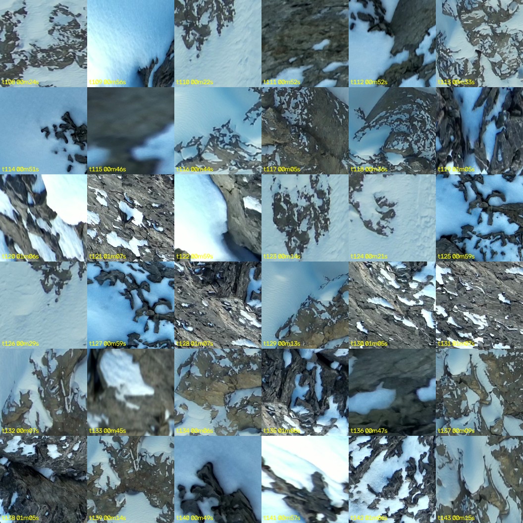 montage_03.jpg