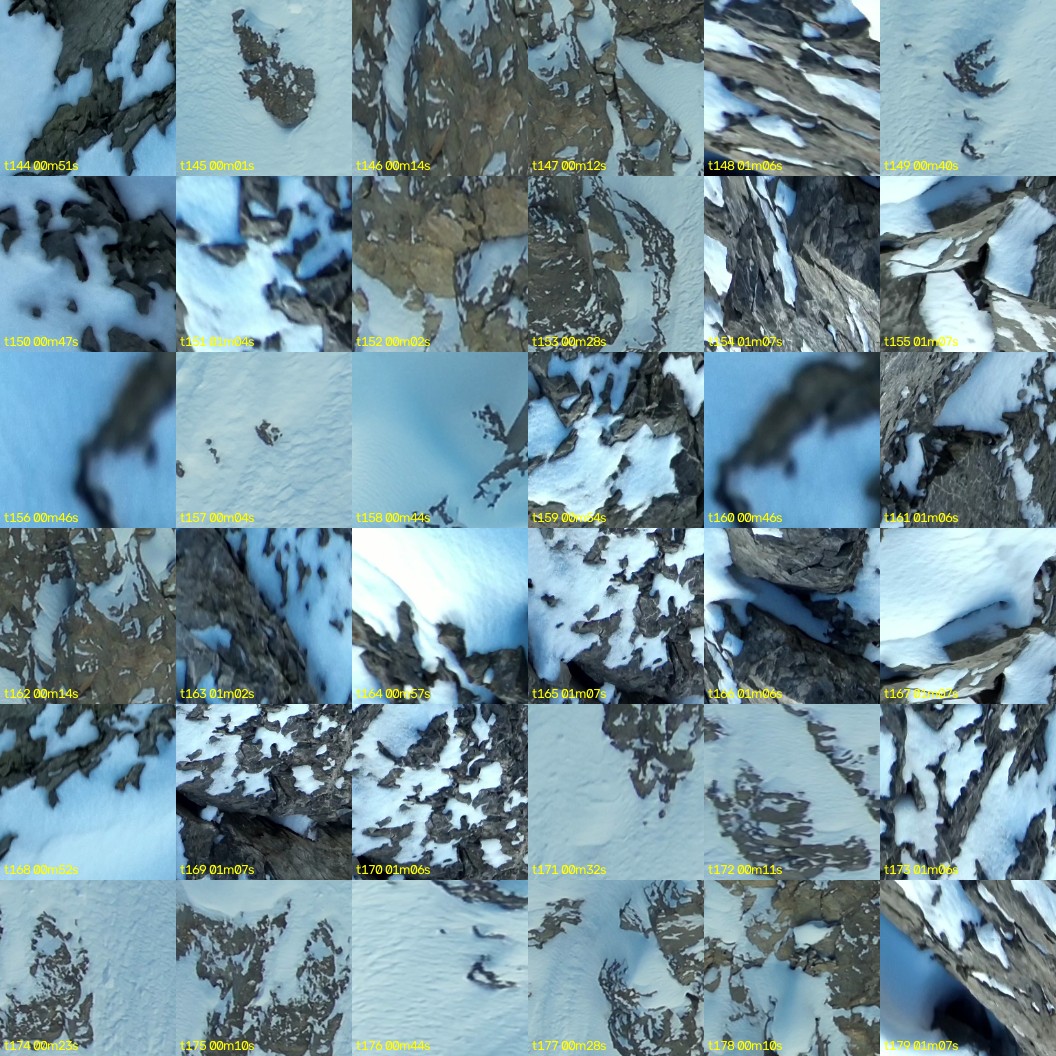 montage_04.jpg