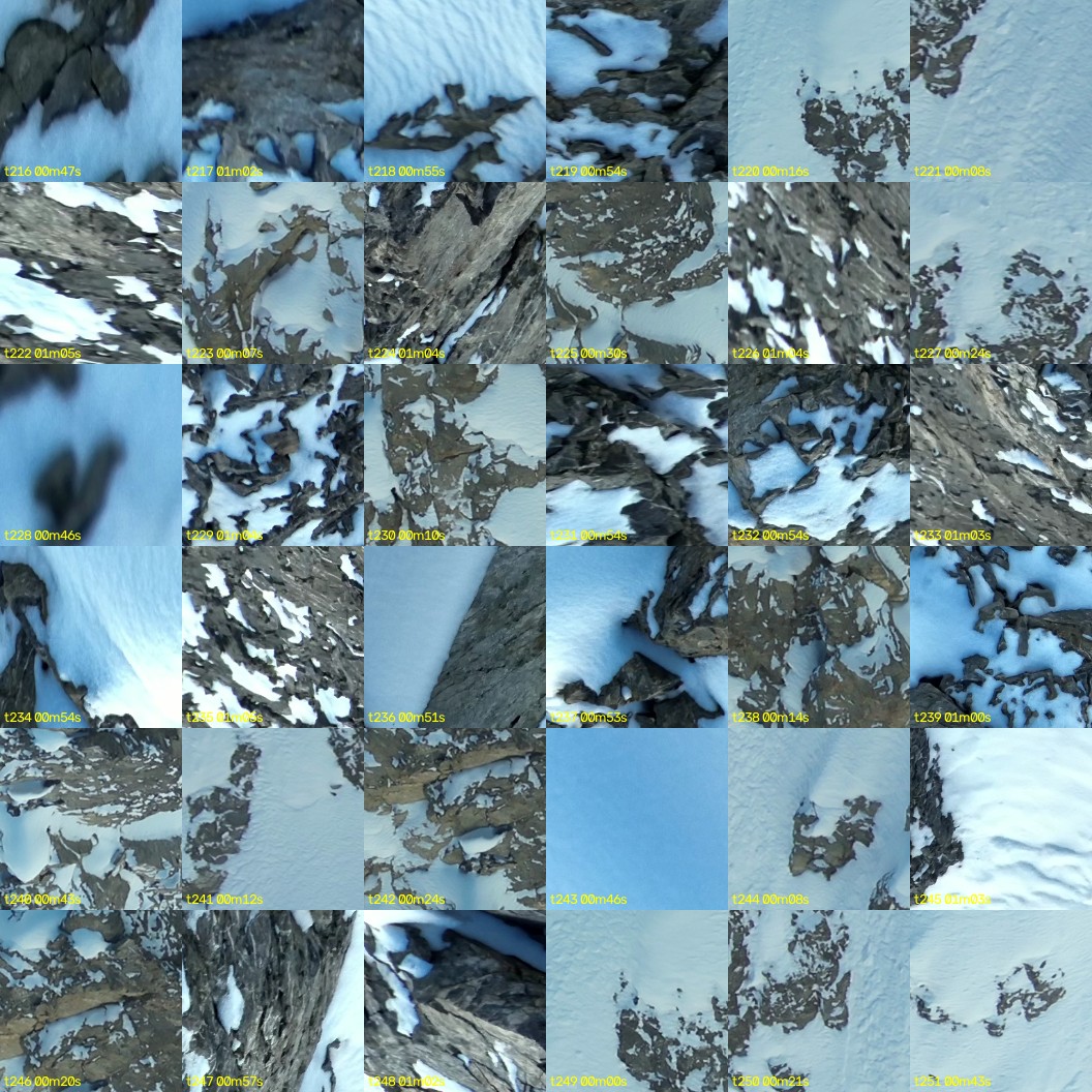montage_06.jpg