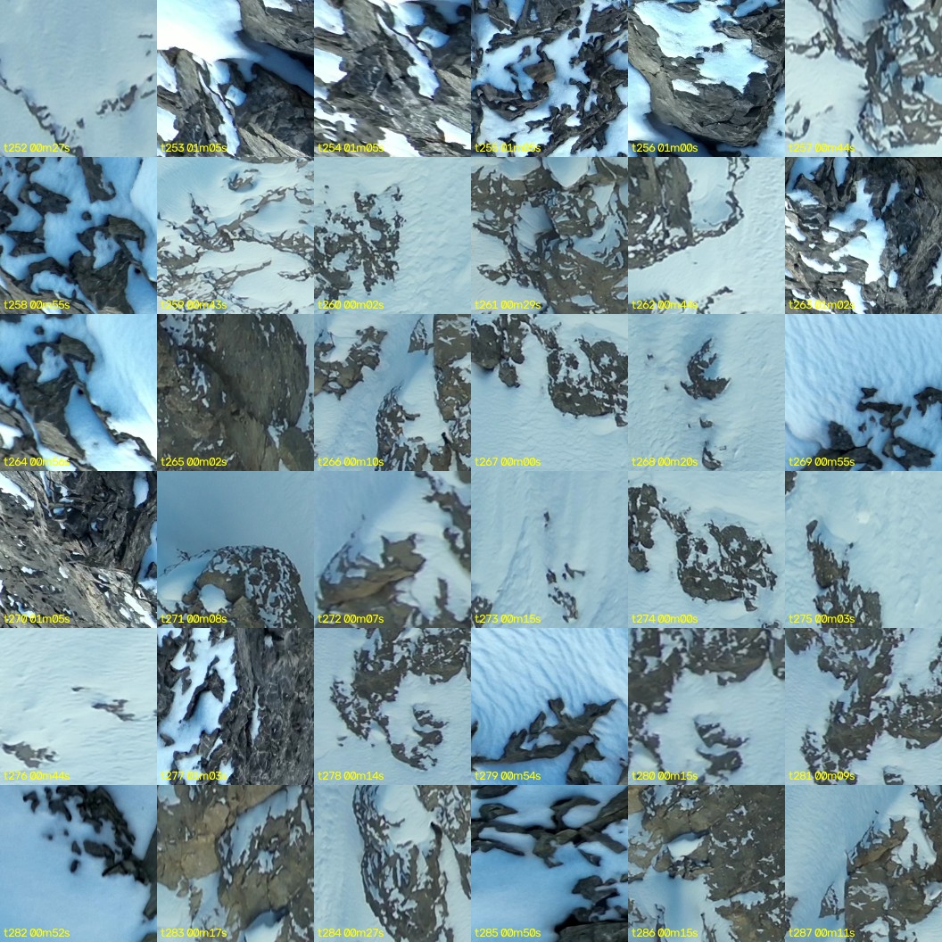 montage_07.jpg