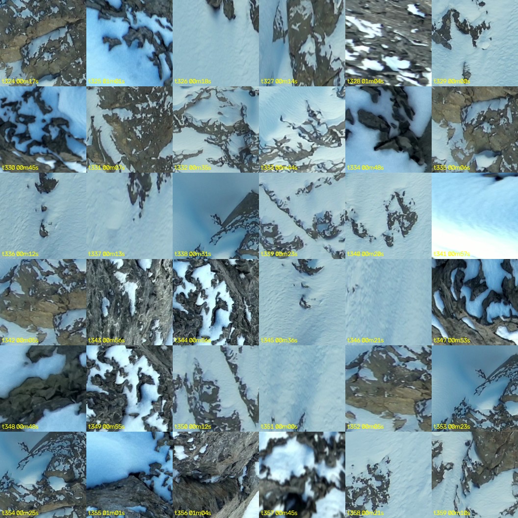 montage_09.jpg