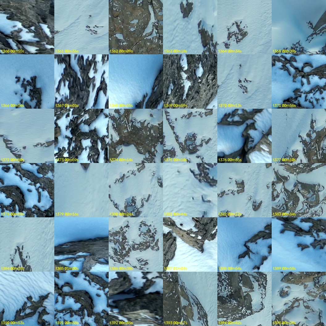 montage_10.jpg