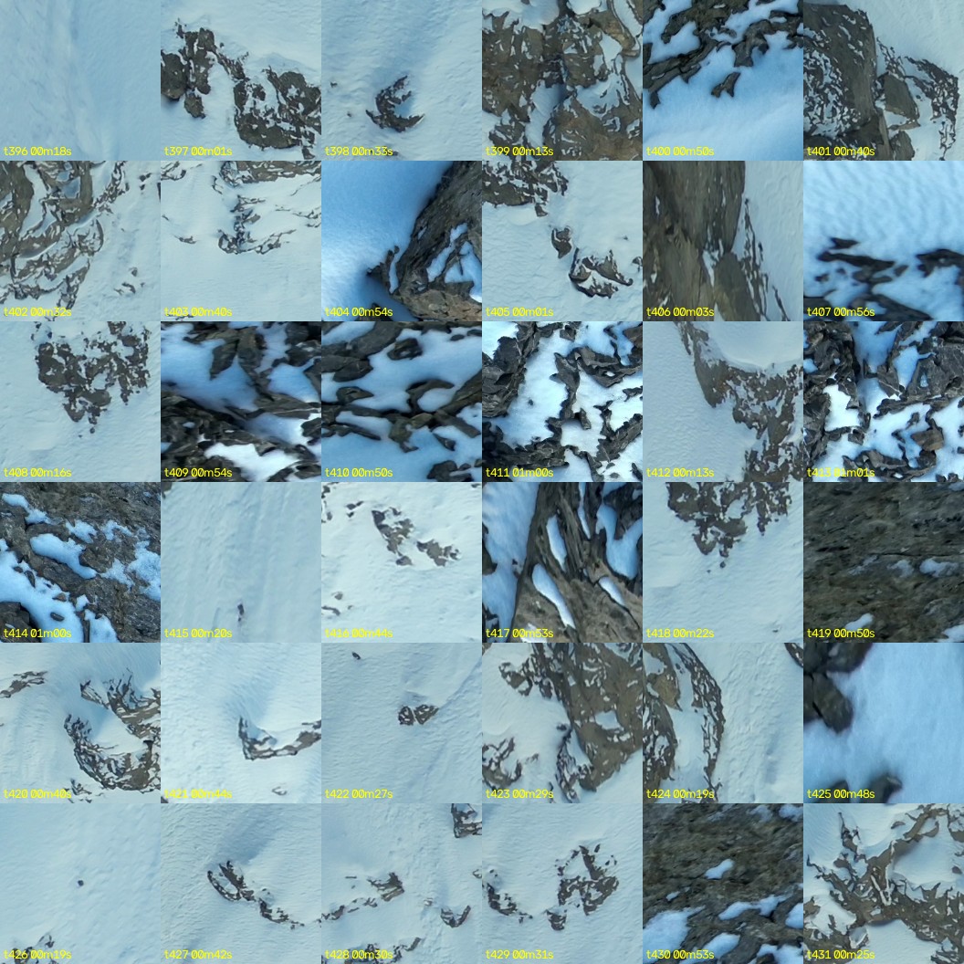 montage_11.jpg