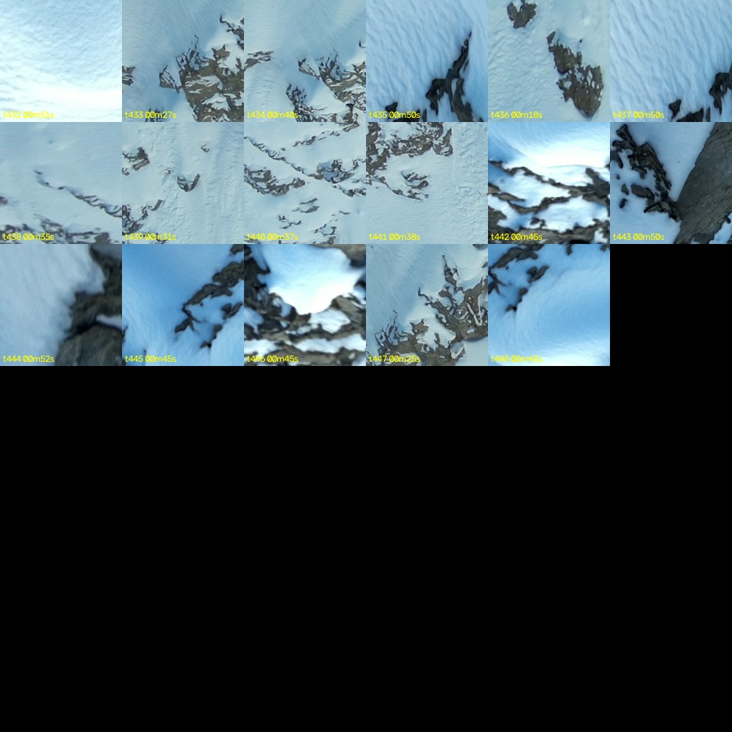 montage_12.jpg