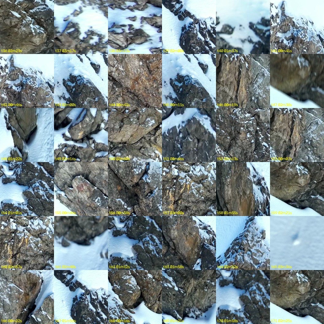 montage_01.jpg