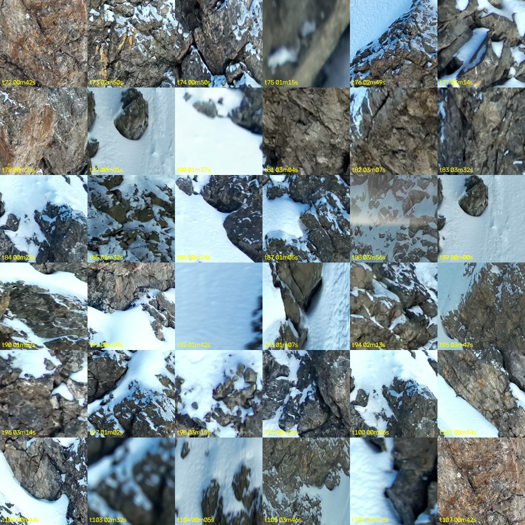 montage_02.jpg