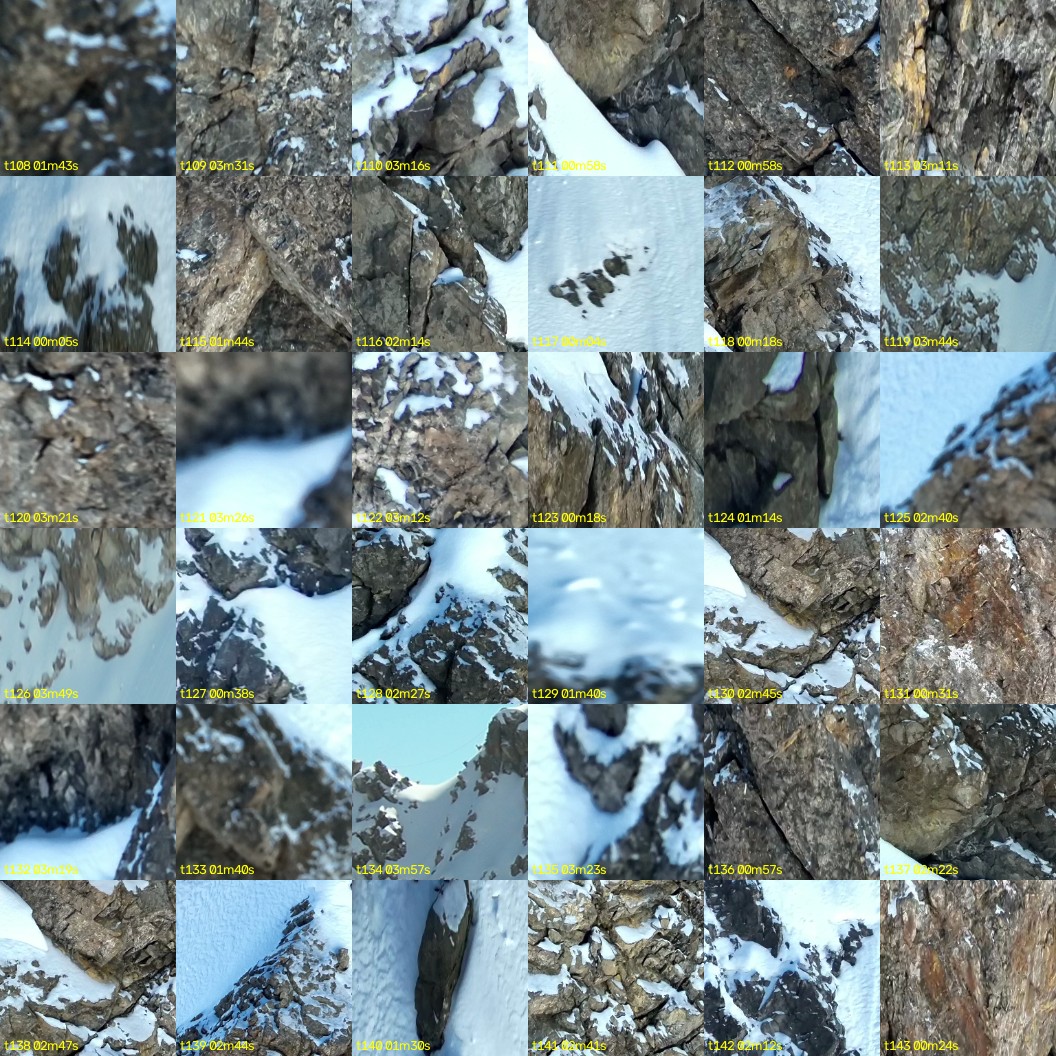 montage_03.jpg