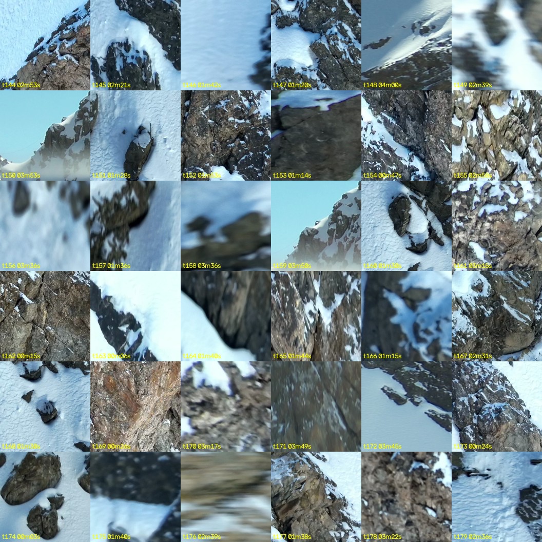 montage_04.jpg