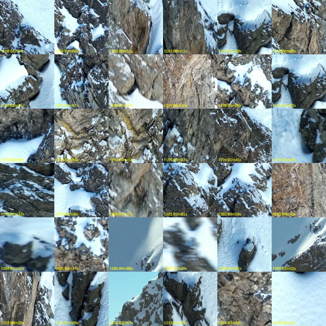 montage_05.jpg