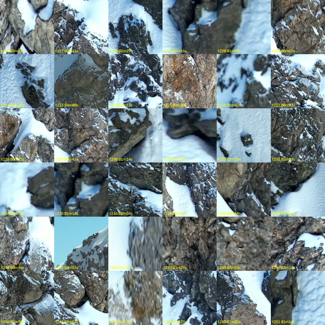 montage_06.jpg