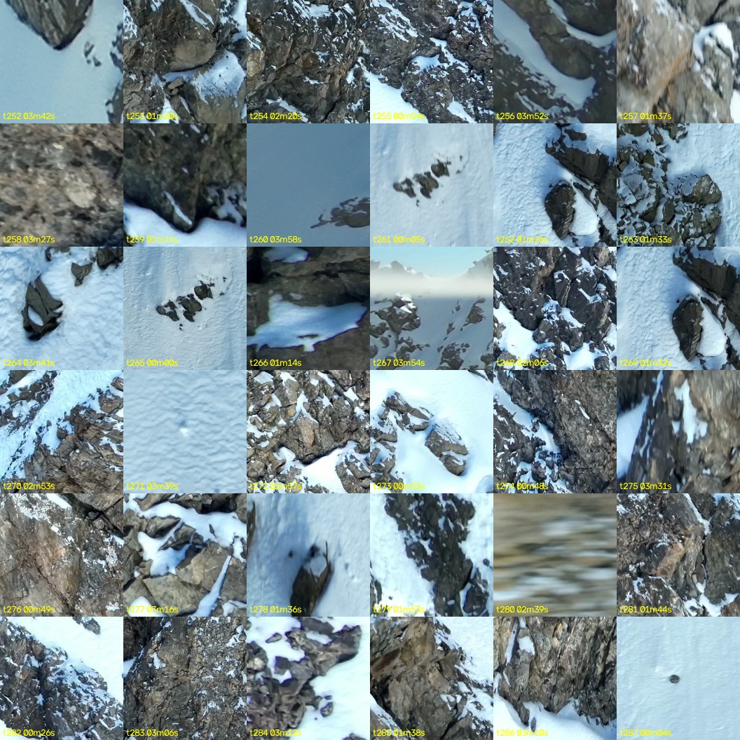 montage_07.jpg