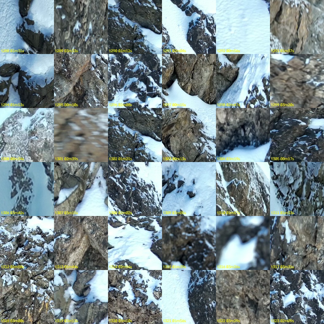 montage_08.jpg