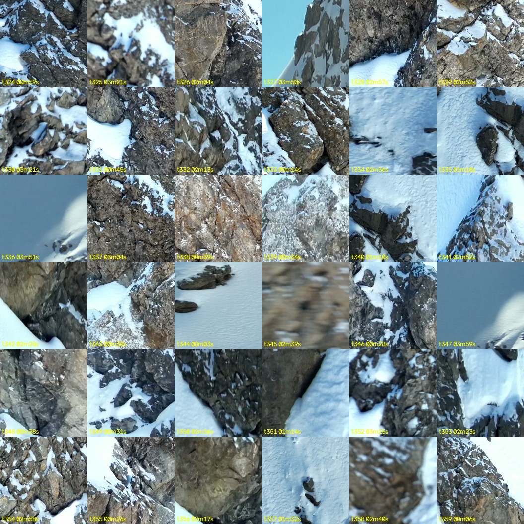montage_09.jpg