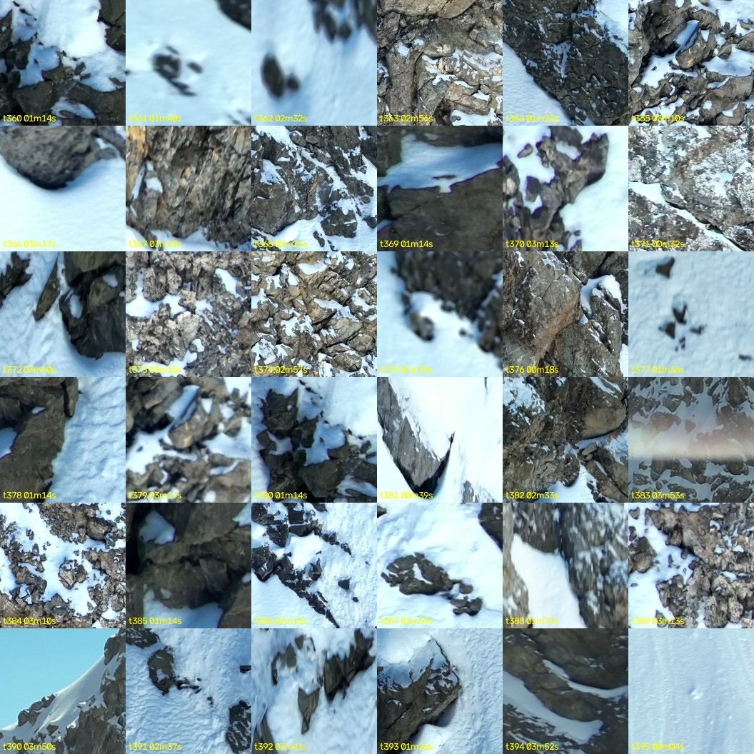 montage_10.jpg