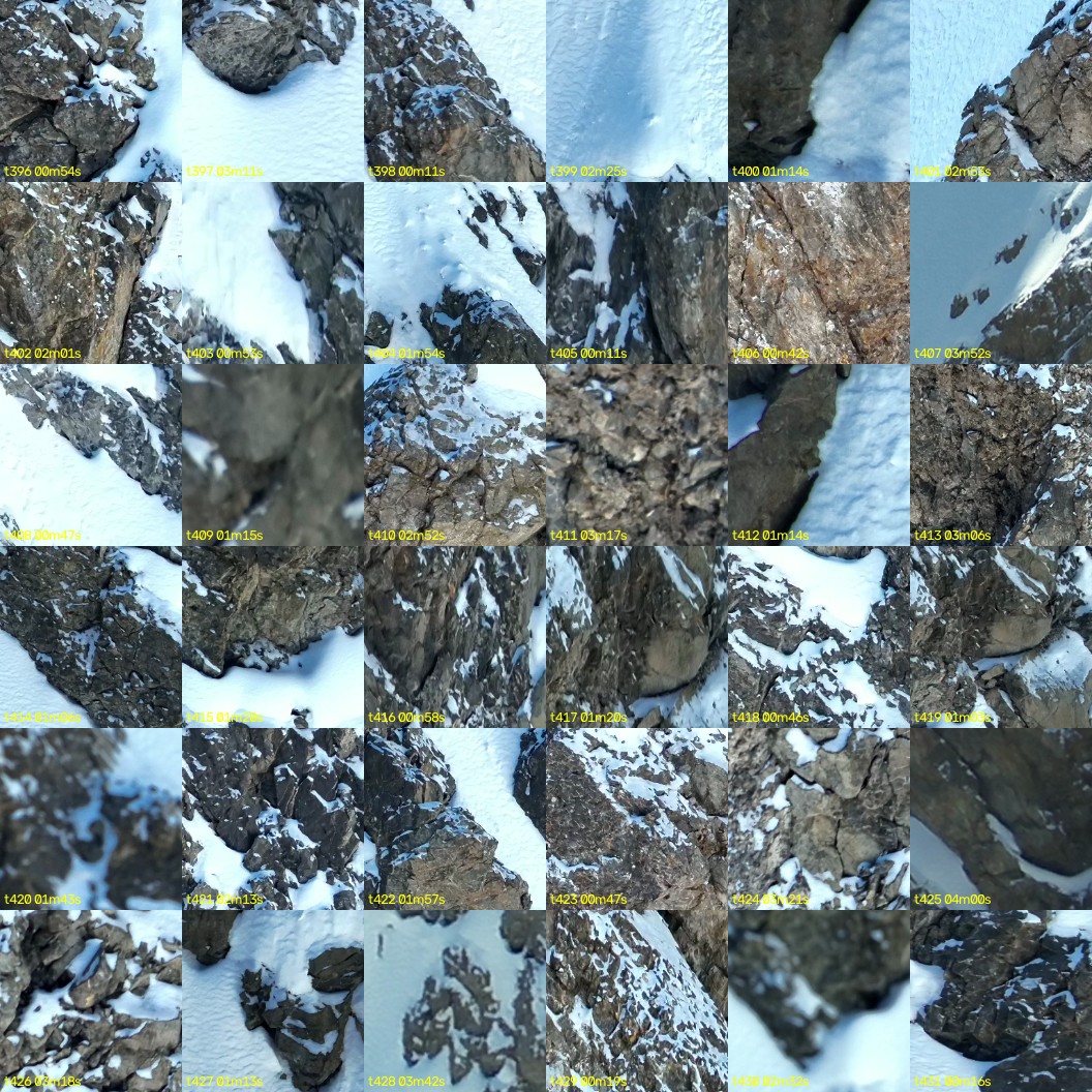 montage_11.jpg