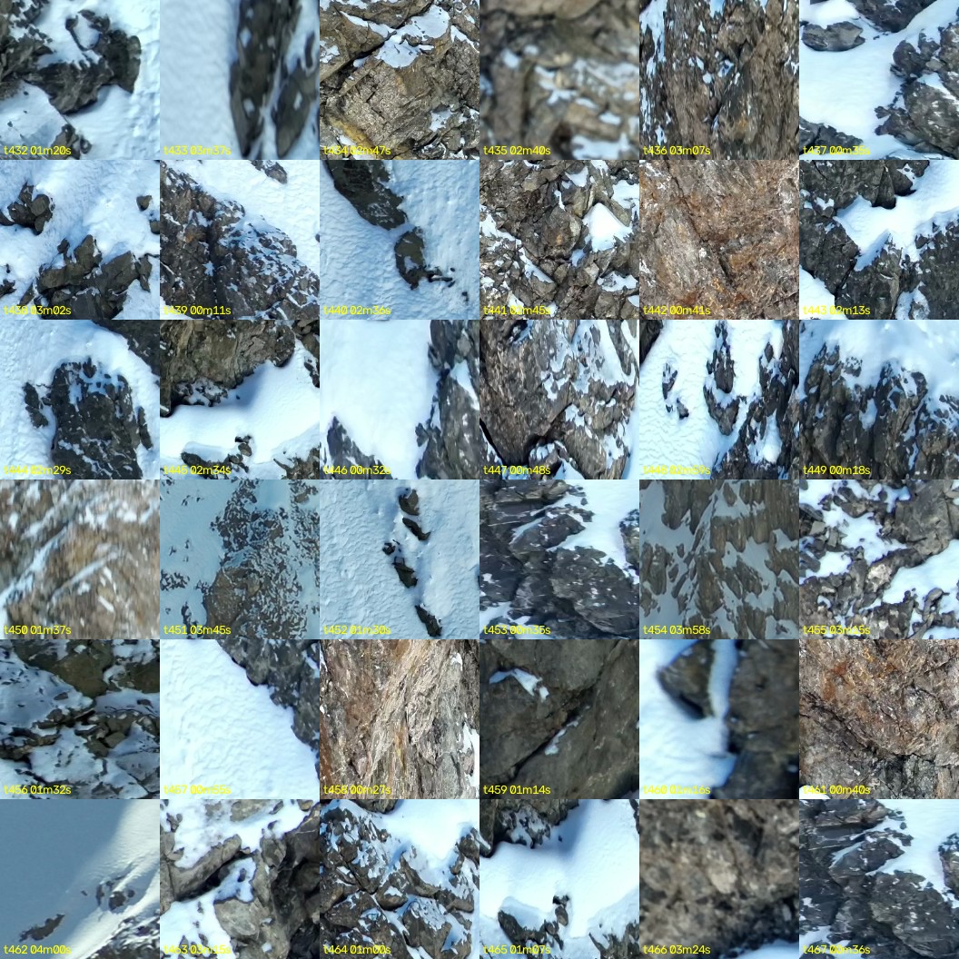 montage_12.jpg