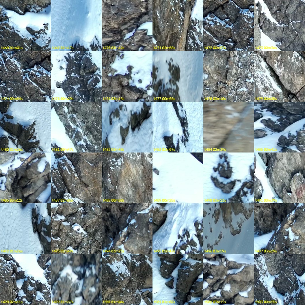montage_13.jpg