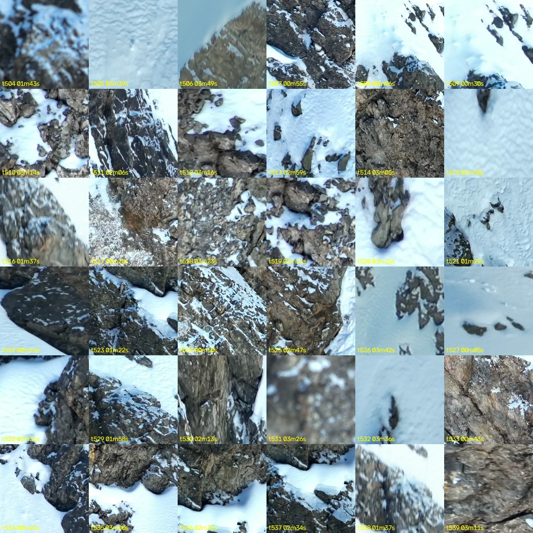 montage_14.jpg