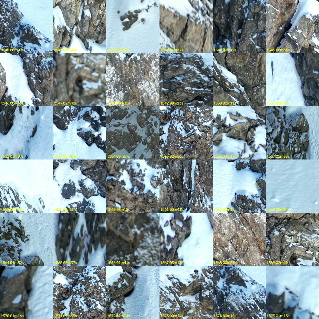 montage_15.jpg