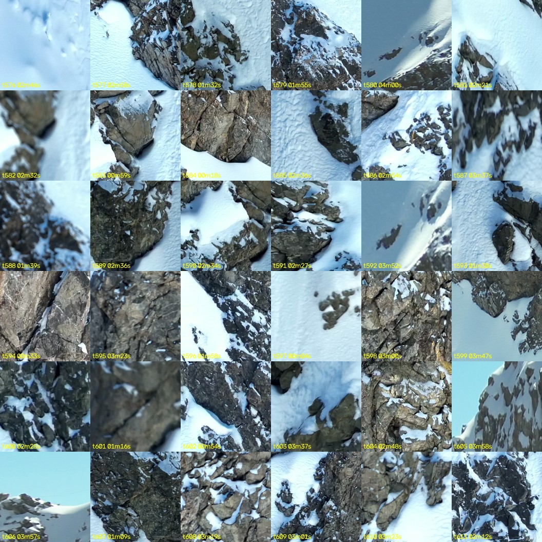 montage_16.jpg