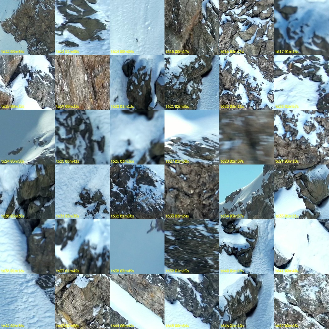 montage_17.jpg