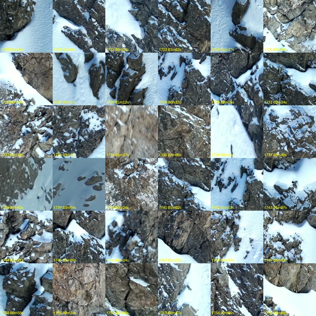 montage_20.jpg