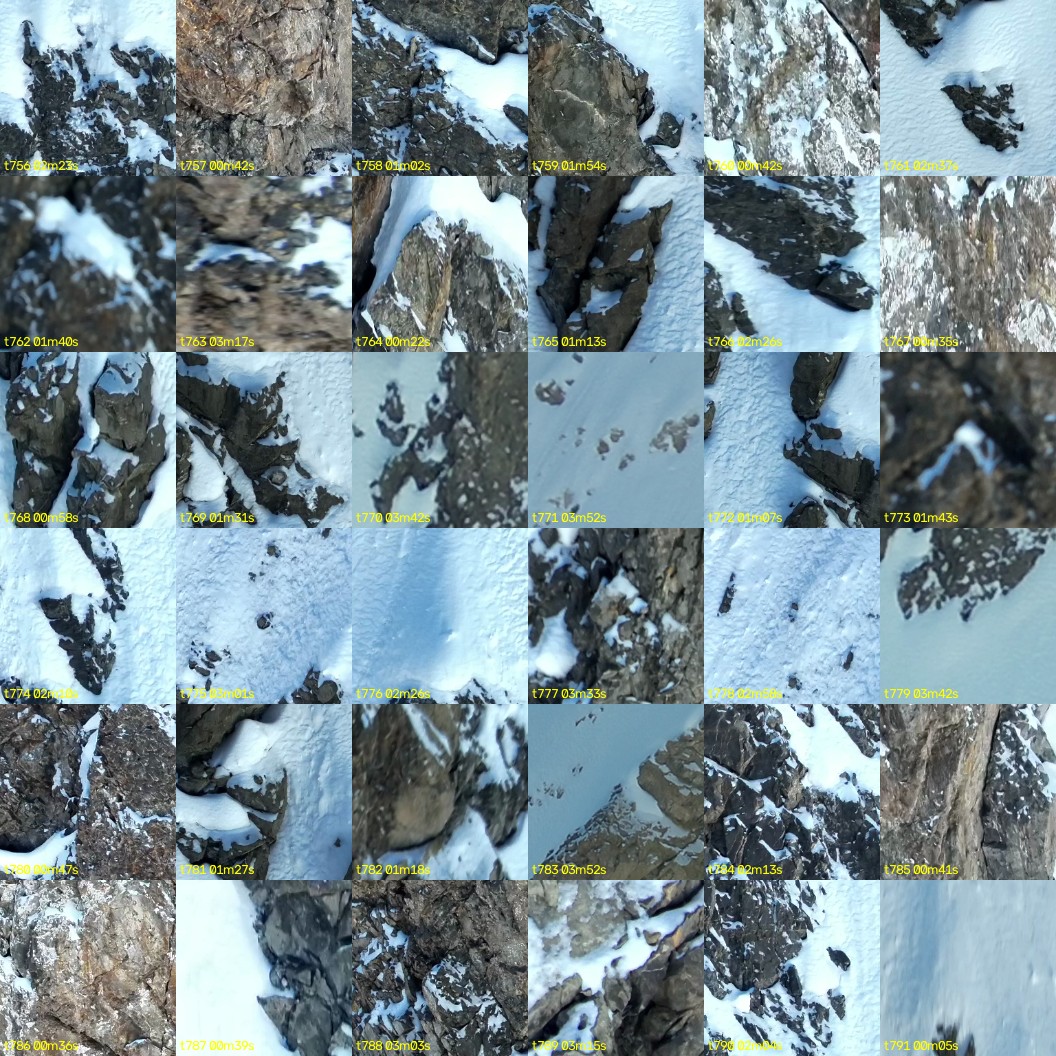montage_21.jpg