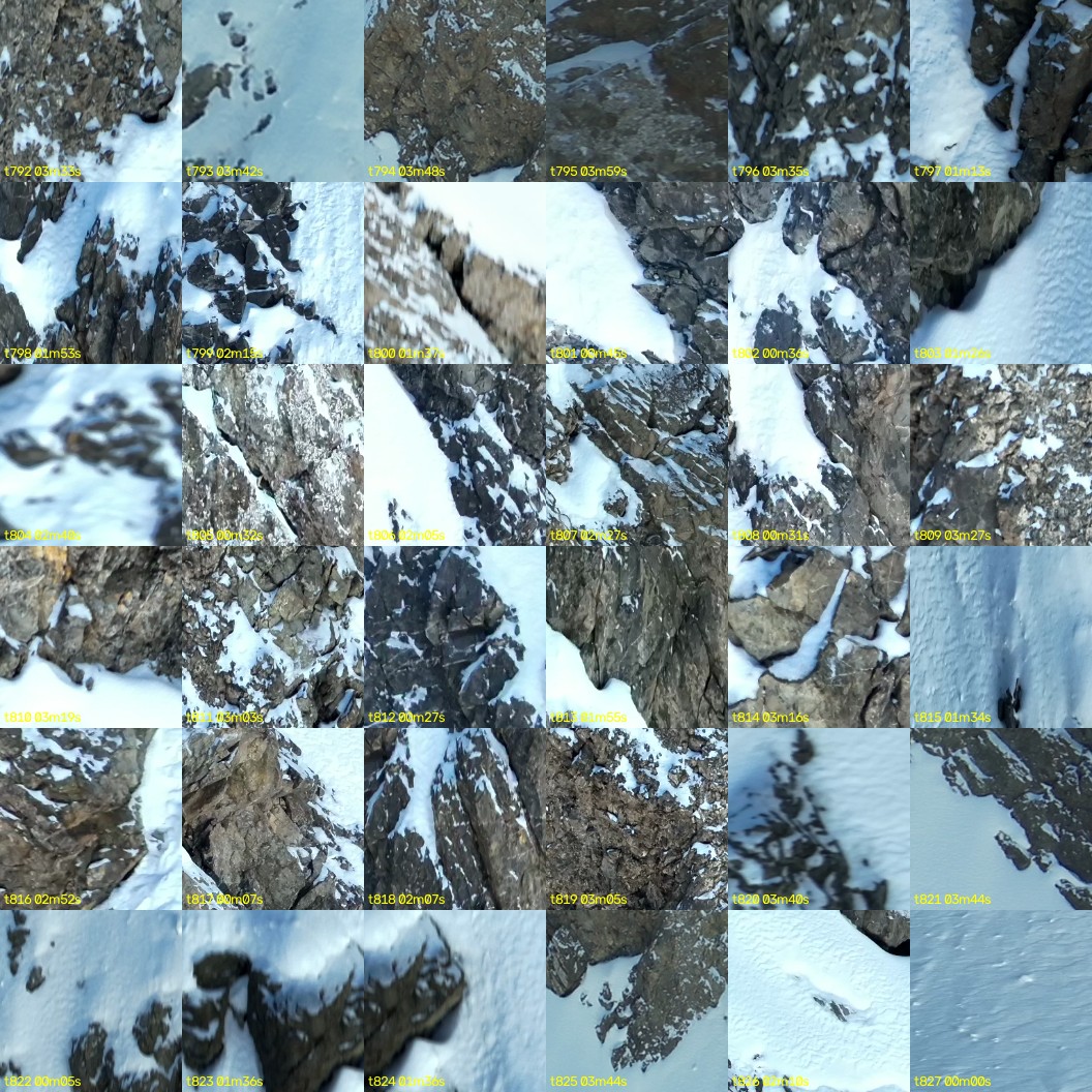 montage_22.jpg