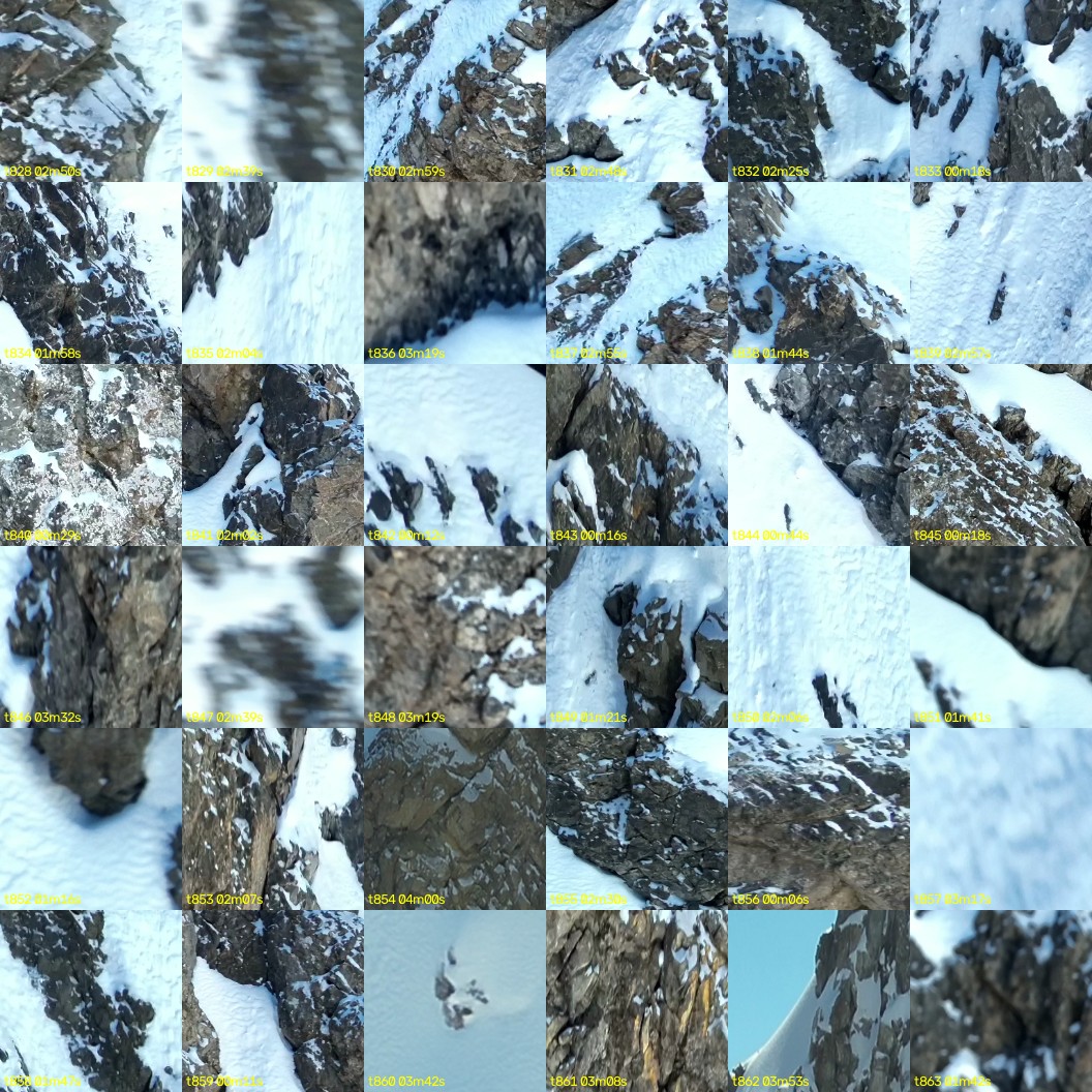 montage_23.jpg