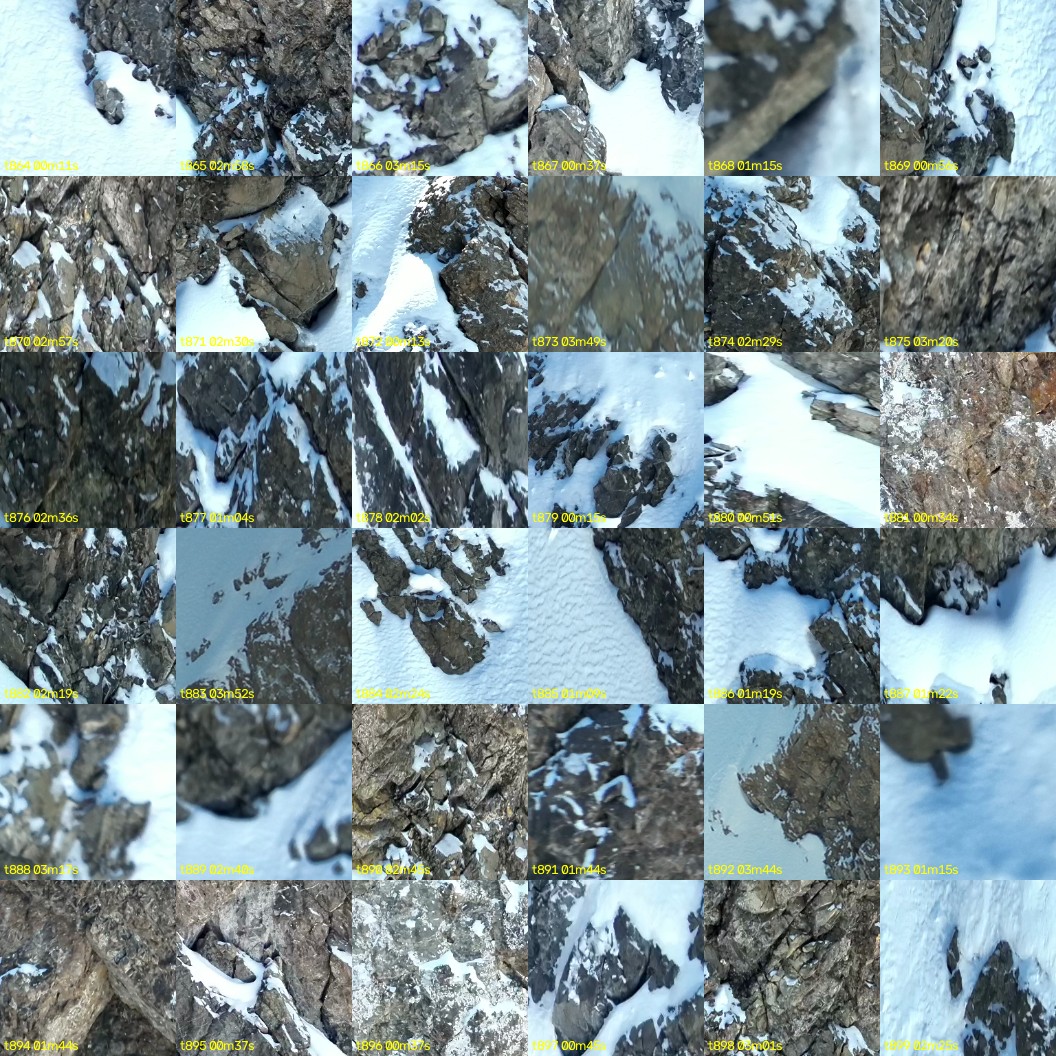 montage_24.jpg