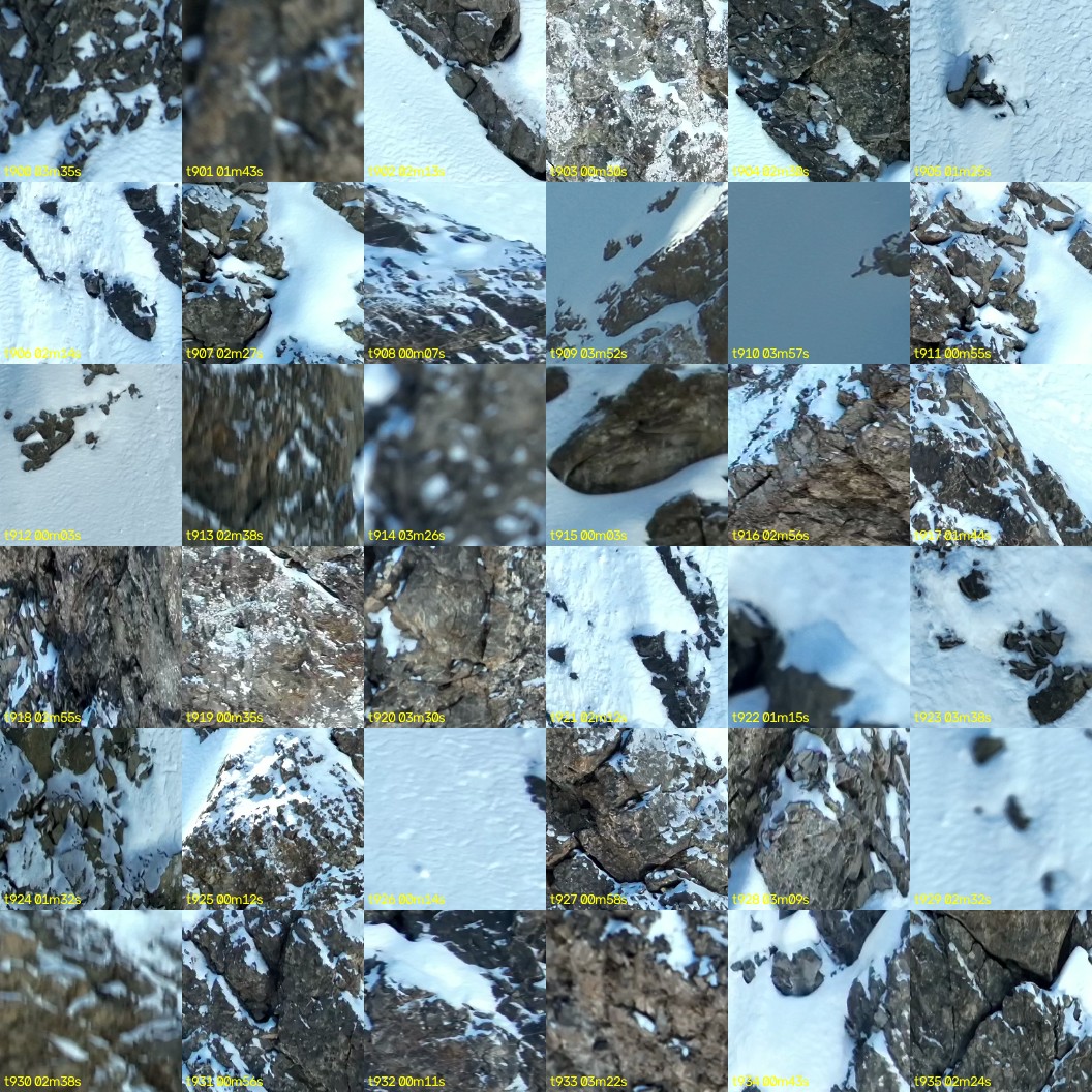montage_25.jpg