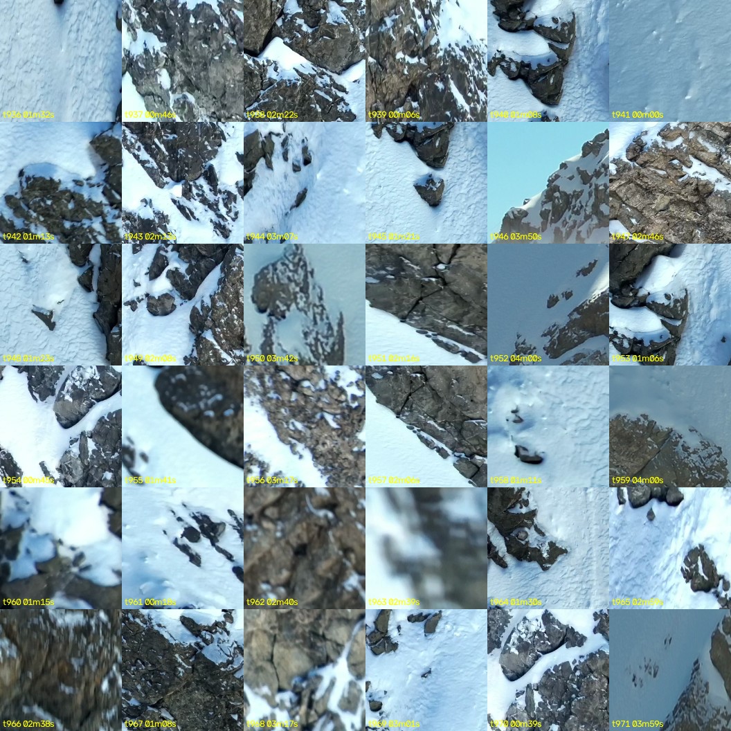 montage_26.jpg