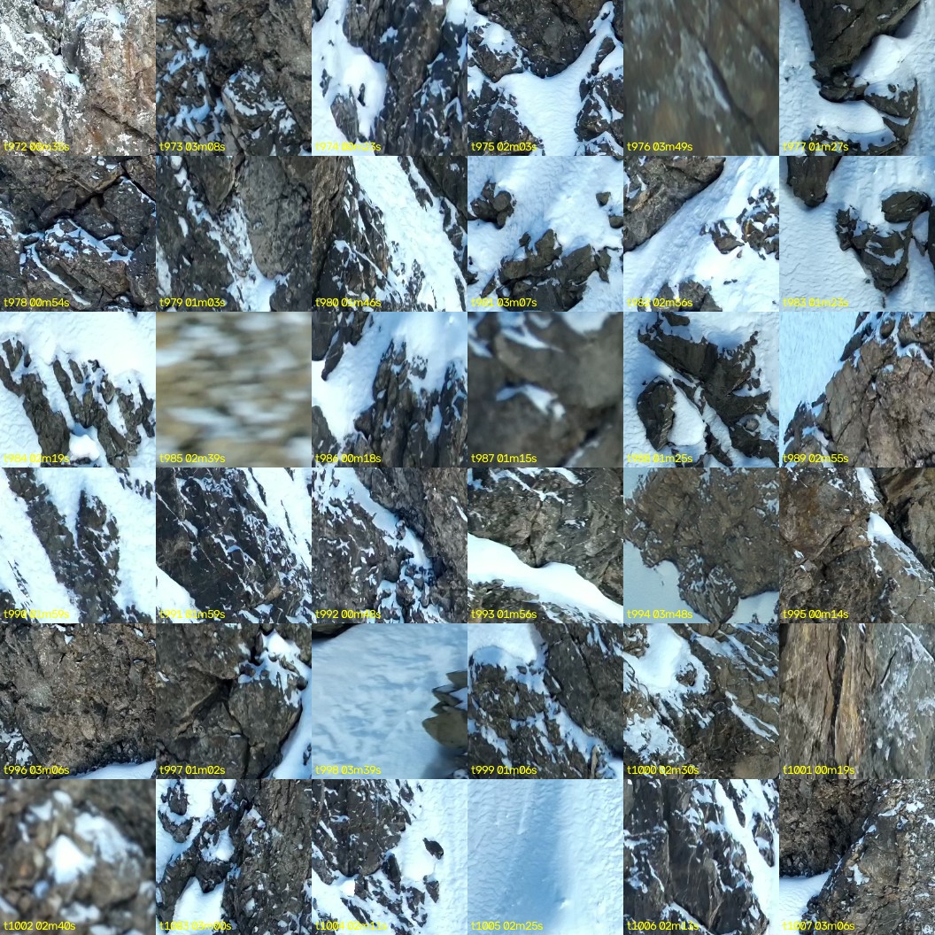 montage_27.jpg