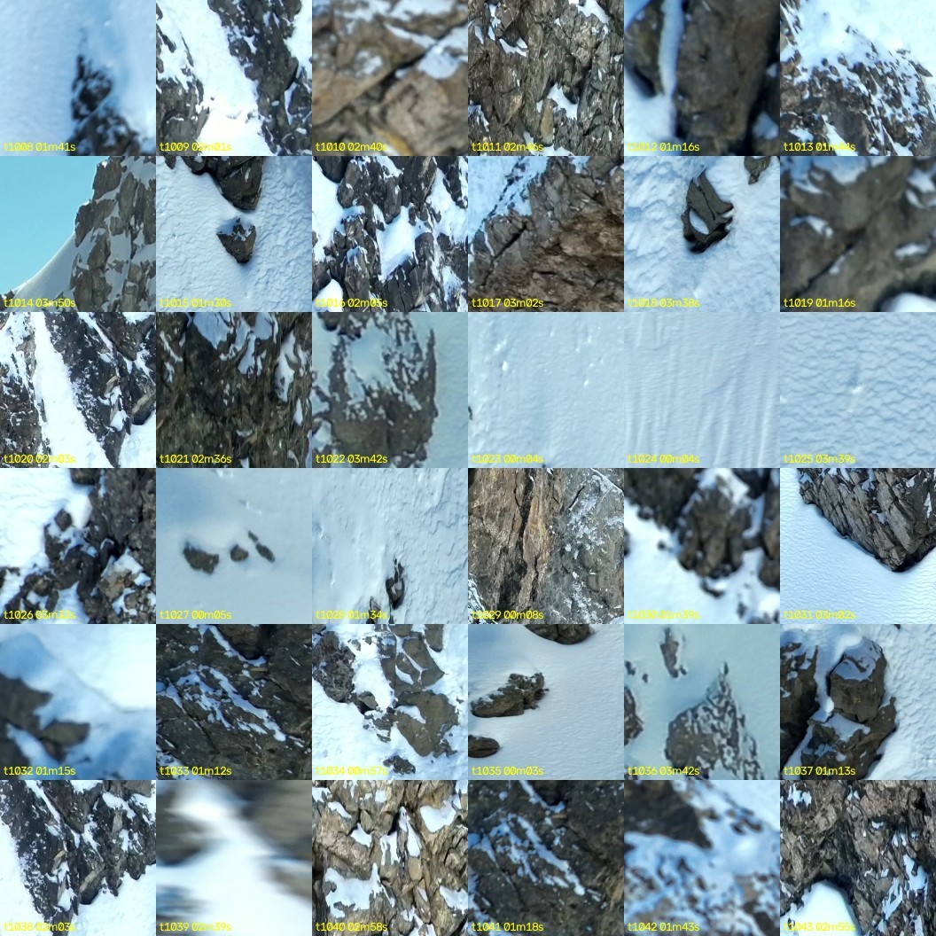 montage_28.jpg